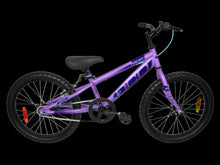 Load image into Gallery viewer, DCO Galaxy 20&quot; Kids Bike
