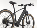 Trek FX+ 1