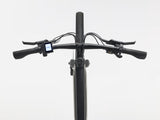 Trek FX+ 1