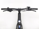 Trek FX+ 1