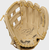 Rawlings Sure Catch Series Baseball Glove