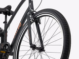 Electra Townie 7D Step-Over