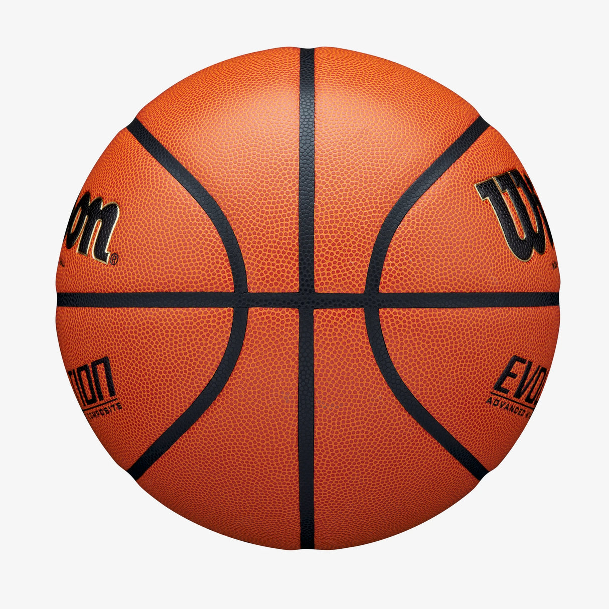 Wilson Evolution Game Basketball