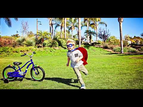 Electra Super Sprocket 16"