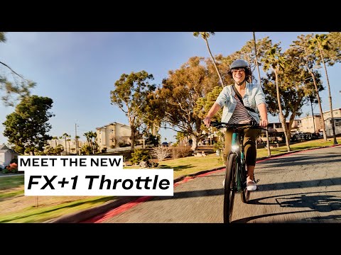 Trek FX+ 1 Midstep
